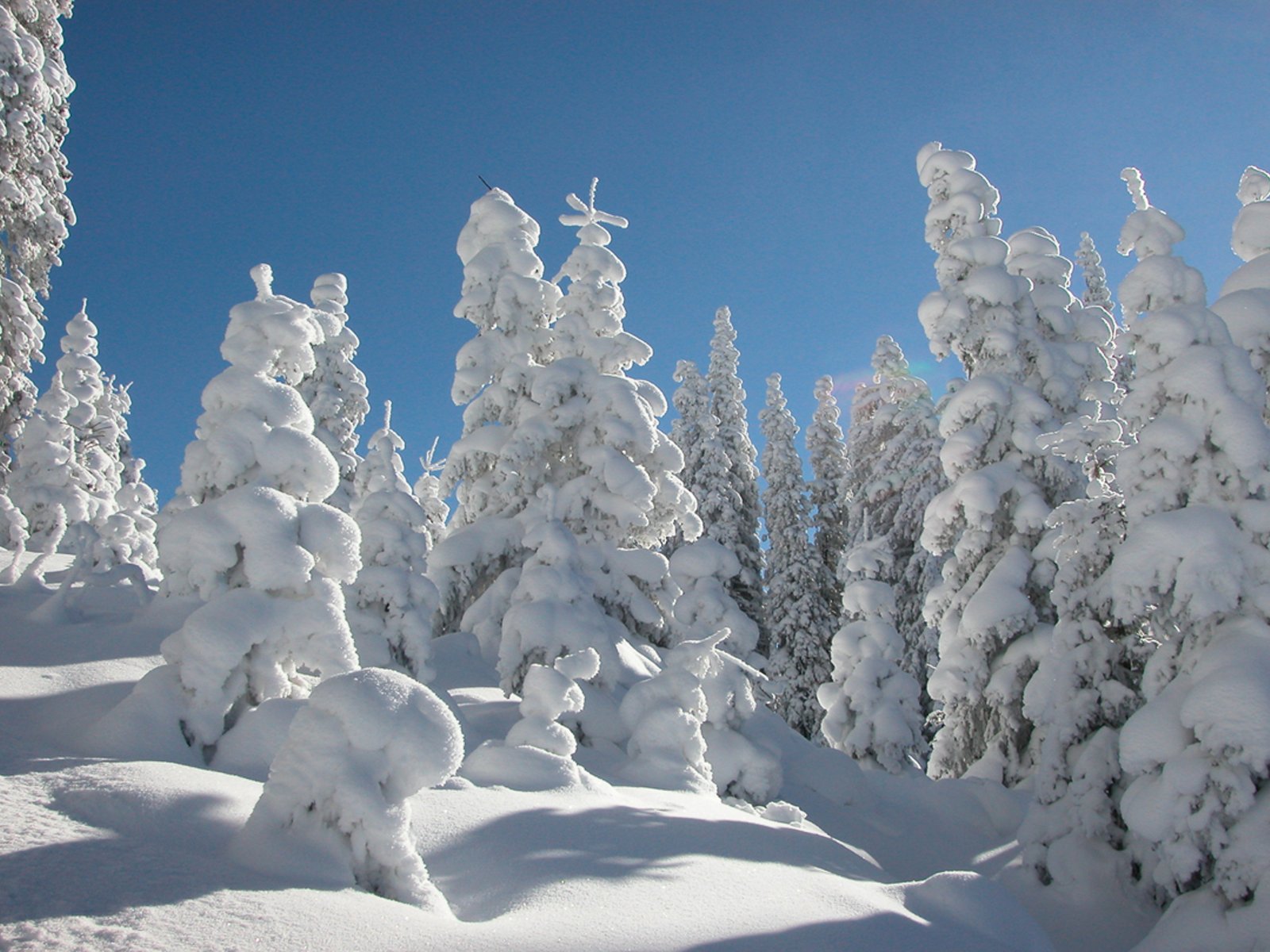 Das Medium Schnee  Intersport Arlberg, St.Anton am Arlberg, Tirol