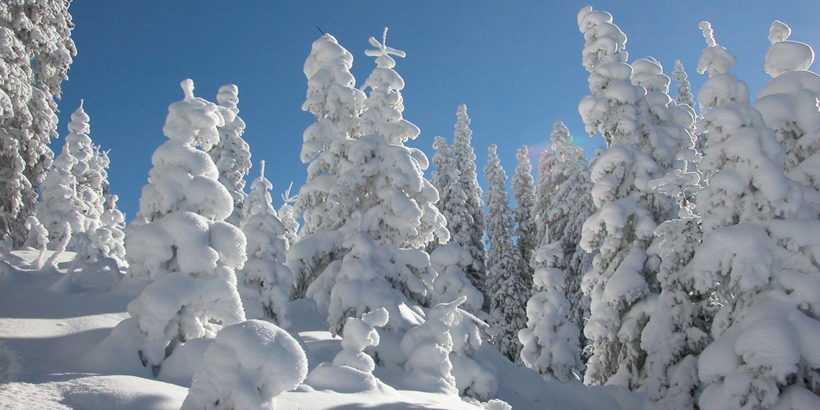 Das Medium Schnee