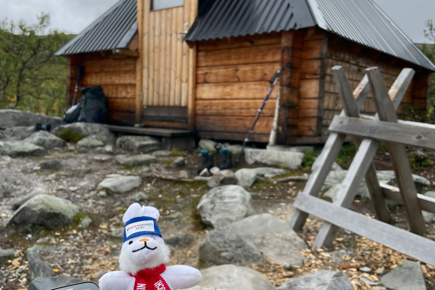 Loading Theresa Schindler ...