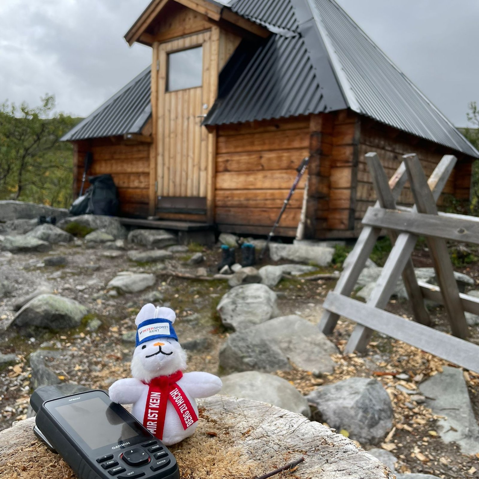 Loading Theresa Schindler ...