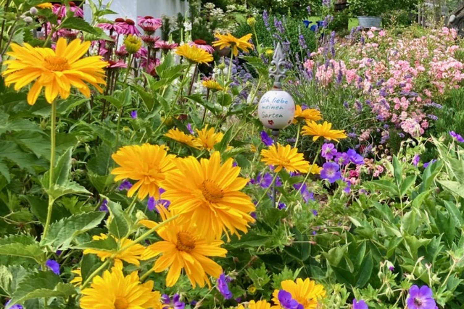 Loading Anita Hafele ...