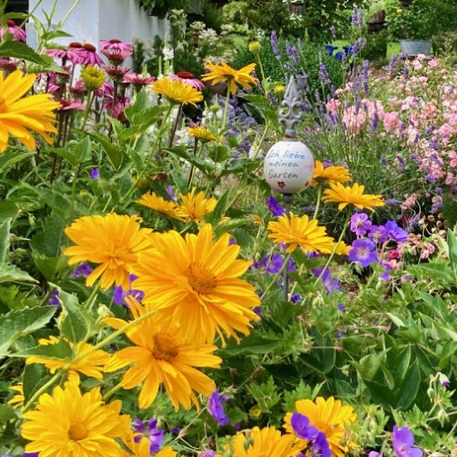 Loading Anita Hafele ...