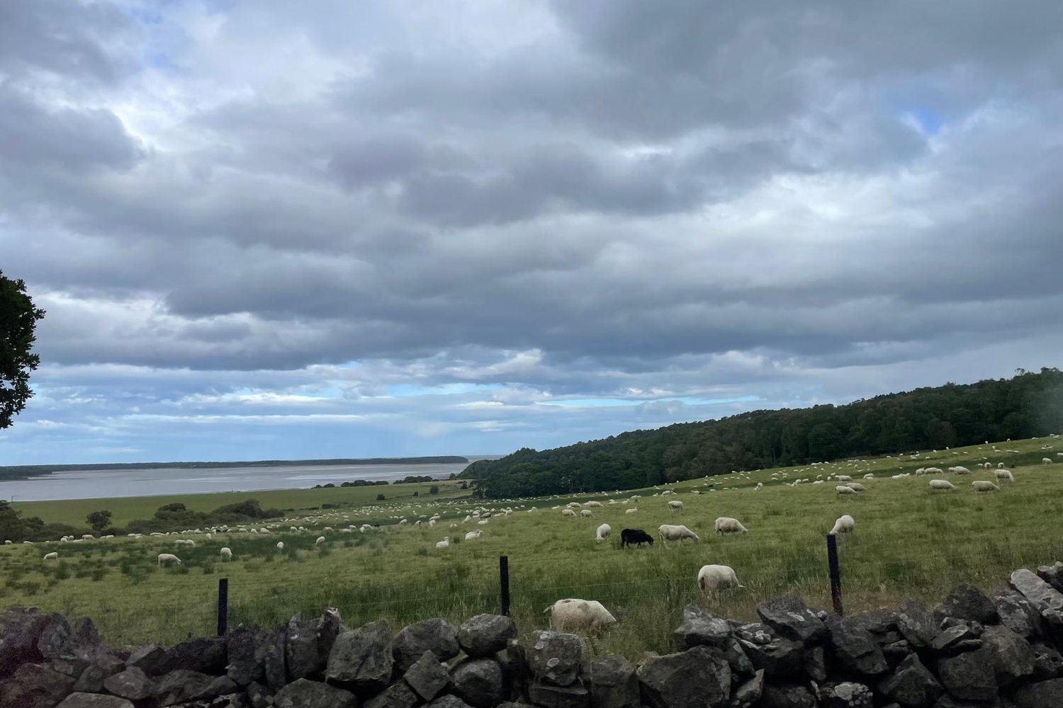 Loading Margot Egger ...