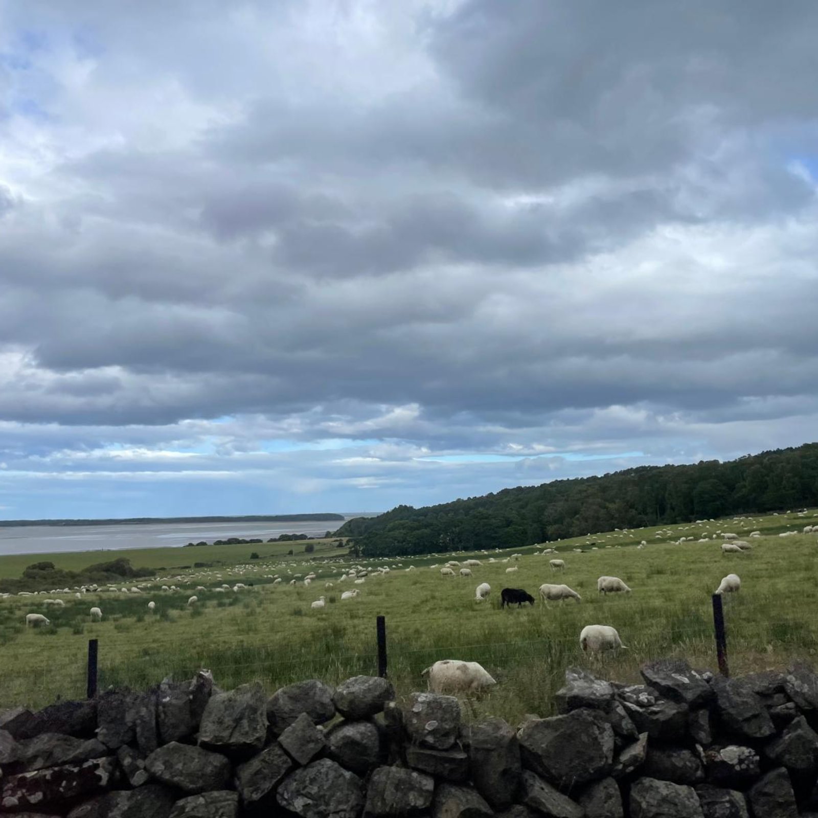 Loading Margot Egger ...