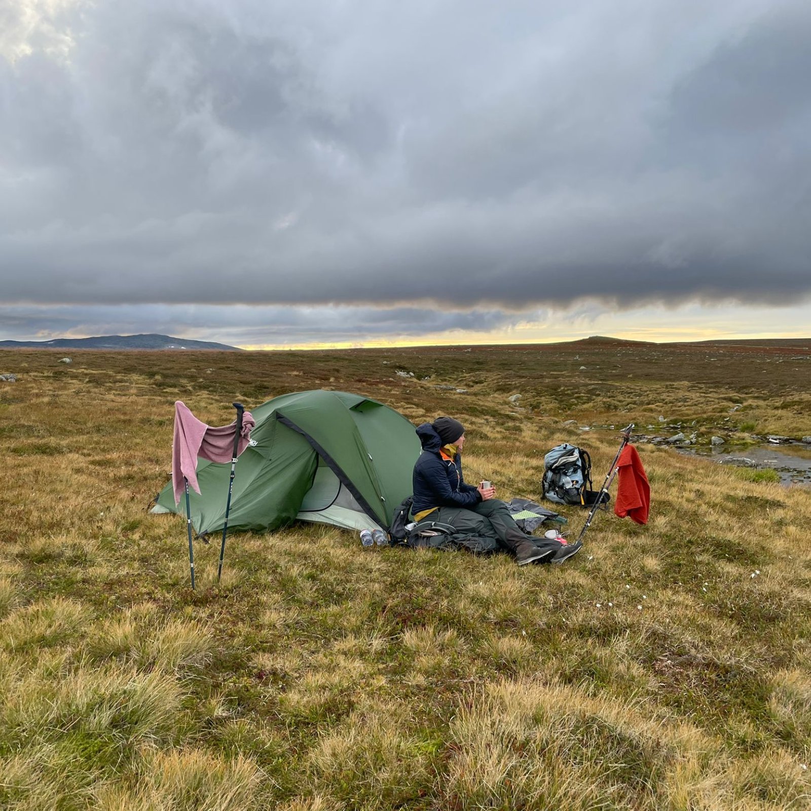 Loading Theresa Schindler ...