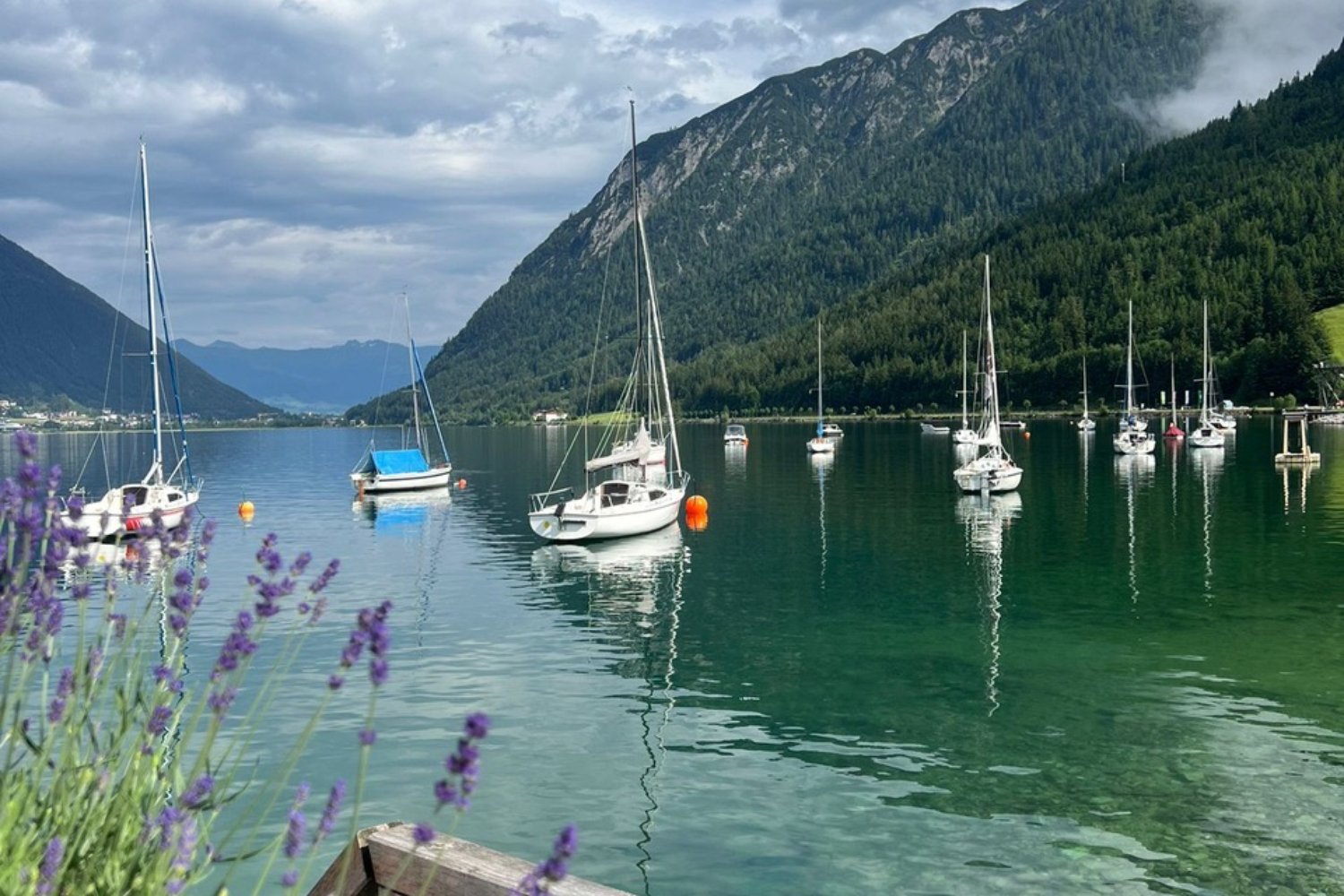 Loading Anita Ehrgartner ...