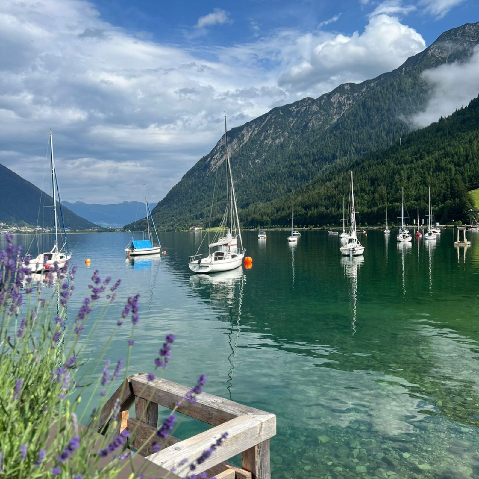 Loading Anita Ehrgartner ...