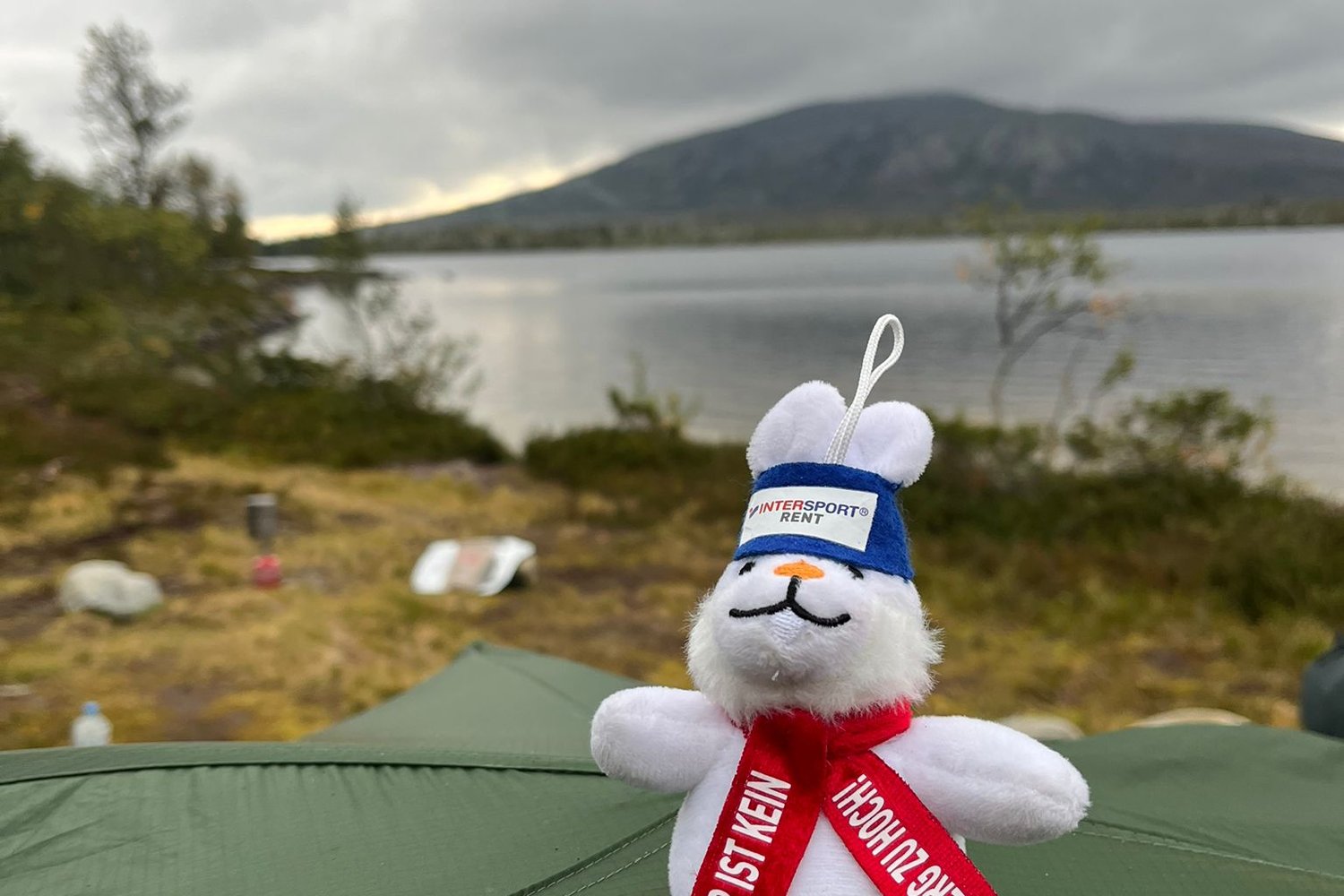 Loading Theresa Schindler ...