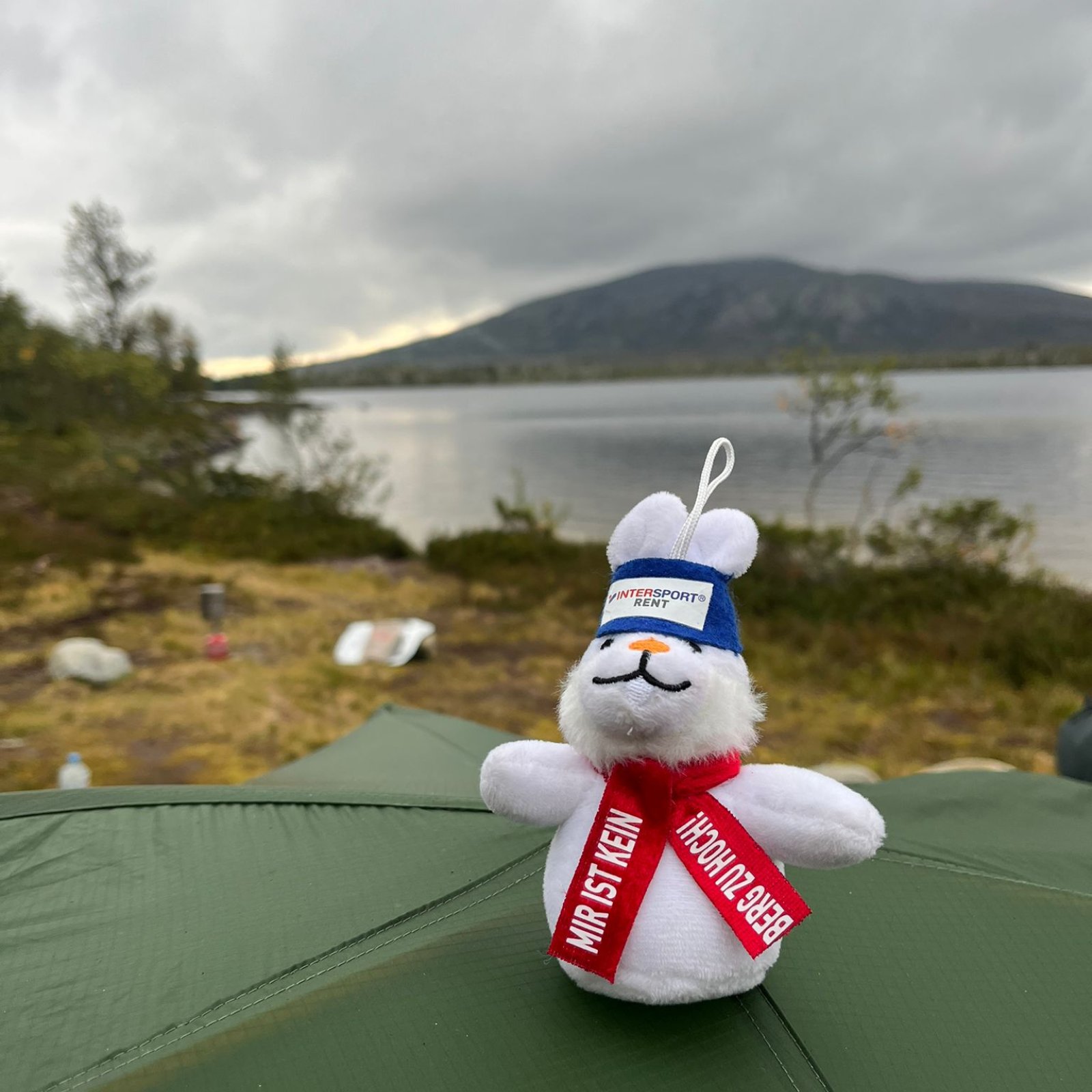 Loading Theresa Schindler ...