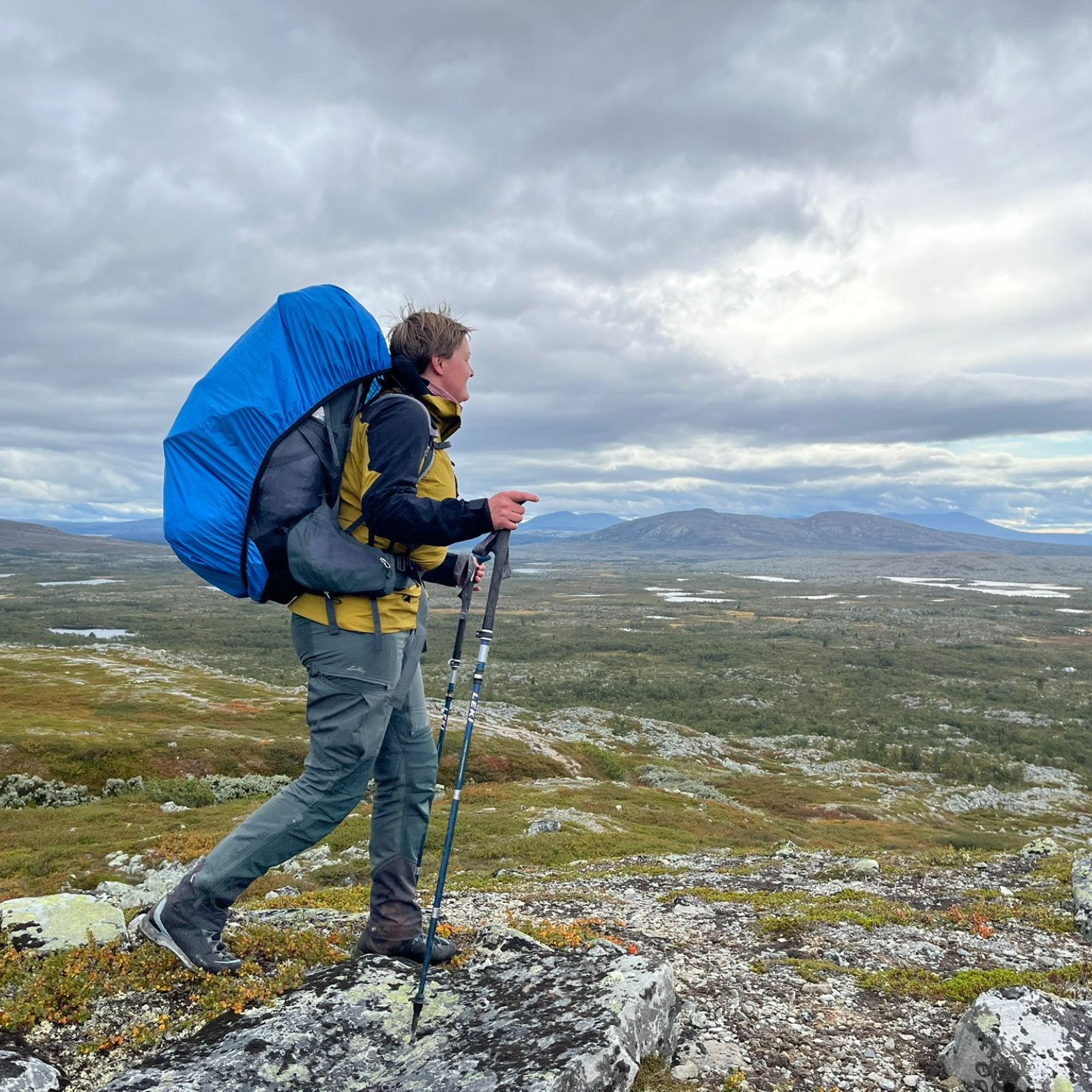 Loading Theresa Schindler ...