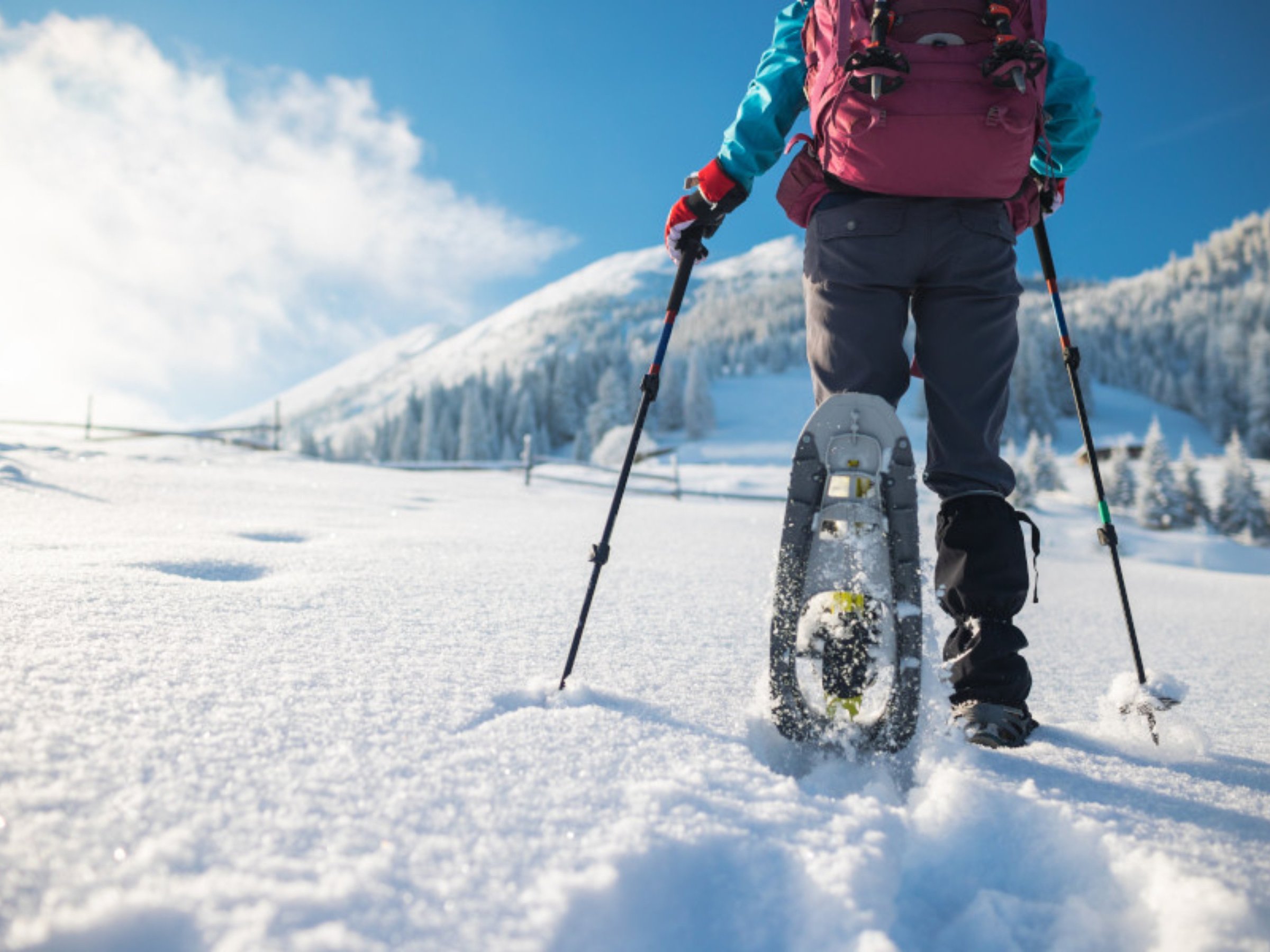 adobestock_504329825.jpeg__3200x2400_q85_crop_subsampling-2_upscale.jpg