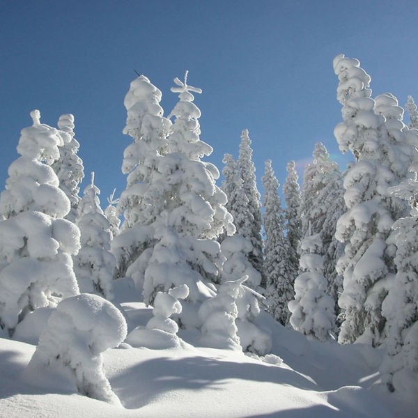 bild_3_neuschnee_oberhalb_von_flirsch_am_arlberg.jpg__1600x0_q85_subsampling-2_upscale.png