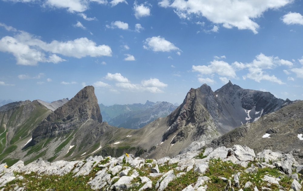 adobestock_1100205551.jpeg__1200x630_q85_crop_subsampling-2.jpg