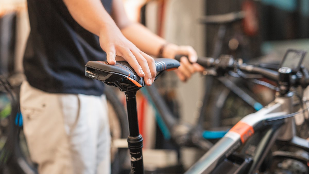 Bike rent
