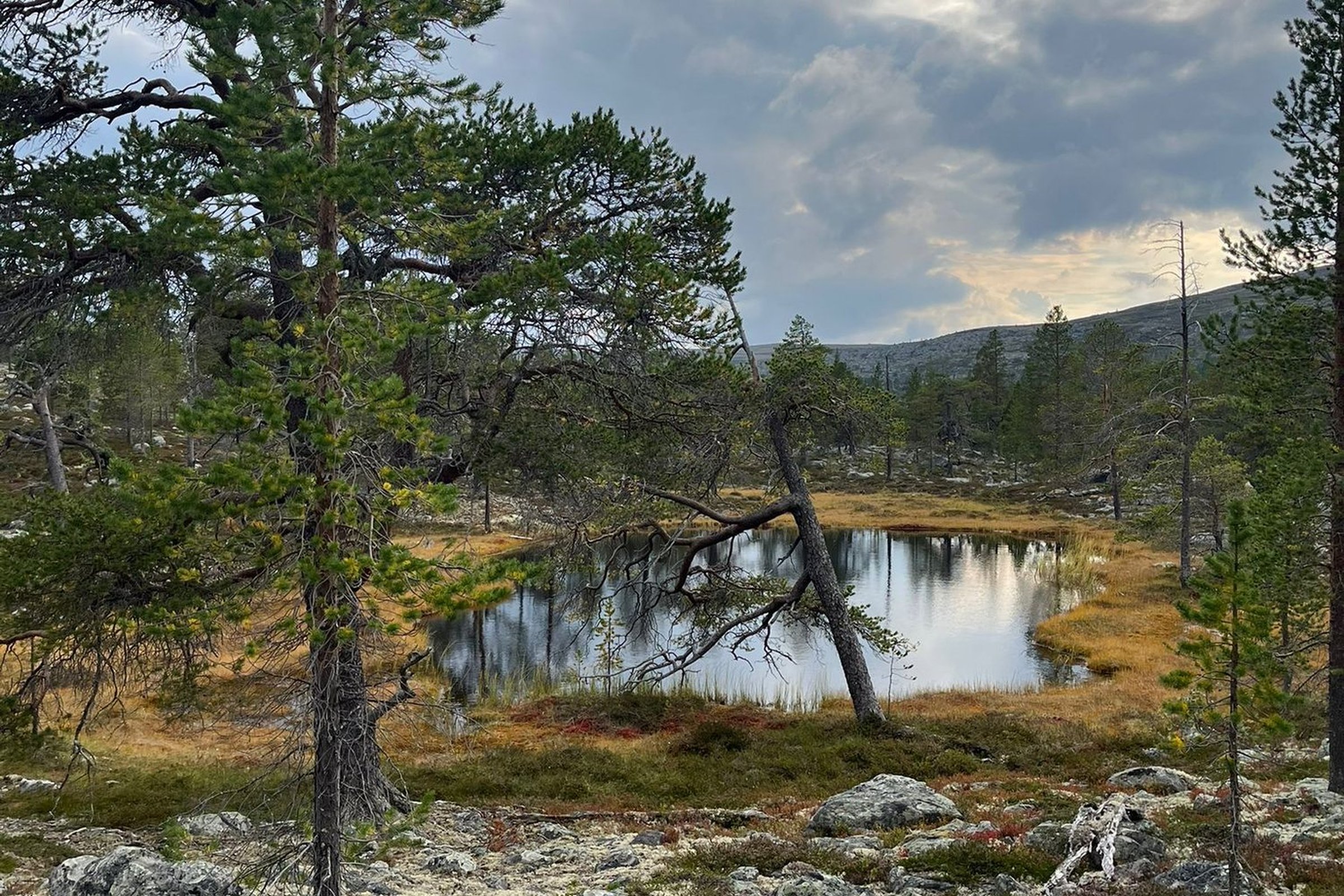 whatsapp_bild_2025-09-04_um_121412_edf7b83d.jpg__1500x1000_q85_crop_subsampling-2_upscale.jpg