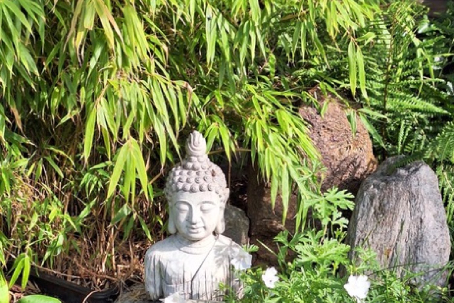 Loading Anita Hafele ...