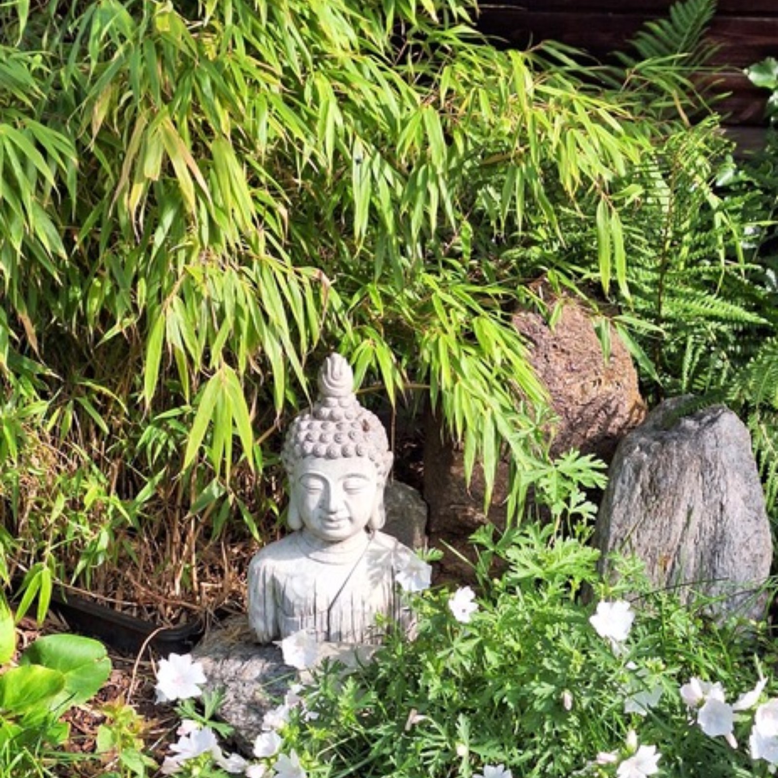 Loading Anita Hafele ...